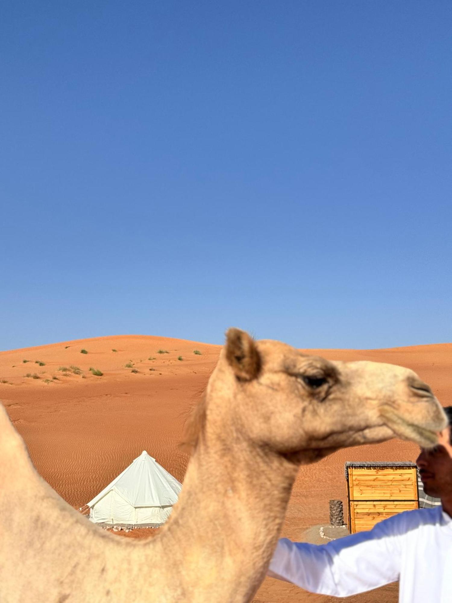 Thousand Stars Desert Camp Luxury tent Bidiya